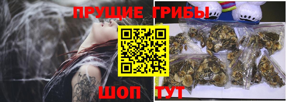 Еманжелинск  Псилоцибиновые грибы ЛСД  где купить наркотик  Галлюциногенные грибы мицелий  Вход с VPN 